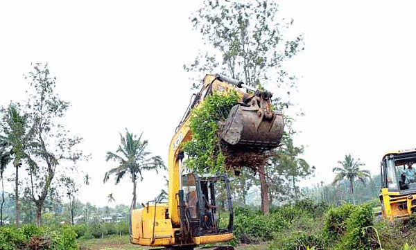 വയനാട് പുനരിധിവാസം; ടൗണ്‍ഷിപ്പ് ഭൂമിയില്‍ നെല്‍സണ്‍ എസ്‌റ്റേറ്റ് ജീവനക്കാരന്റെ സമരം ഇന്ന് മുതല്‍
