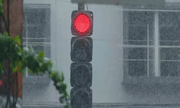 രണ്ട് മണിമുതൽ വയനാട്ടിൽ ശക്തമായ മഴയും കാറ്റും, മരങ്ങൾ കടപുഴകി, വൈദ്യുതി മുടങ്ങി; വ്യാപക നാശം