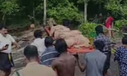 തേനെടുക്കാനായി എത്തിയത് രണ്ടു കുടുംബത്തിലെ നാലംഗ സംഘം ; കാട്ടാനയെ പേടിച്ച് അംബിക പുഴയില്‍ ചാടി, മുങ്ങിമരണമെന്ന് സംശയം