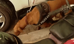 2 മണിക്ക് ബോംബ് പൊട്ടുമെന്ന് ഭീഷണി സന്ദേശം; മുഴുവൻ ജീവനക്കാരെയും പുറത്തിറക്കി പാലക്കാട് കളക്ട്രേറ്റിൽ പരിശോധന