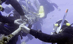 വര്‍ഷങ്ങള്‍ പഴക്കമുള്ള കപ്പല്‍ച്ചേതം ഫേസ്ബുക്ക് മാര്‍ക്കറ്റ് പ്ലേസില്‍ വില്‍ക്കാന്‍ വച്ചു: വിറ്റുപോയത് 34,000 രൂപയ്ക്ക് 
