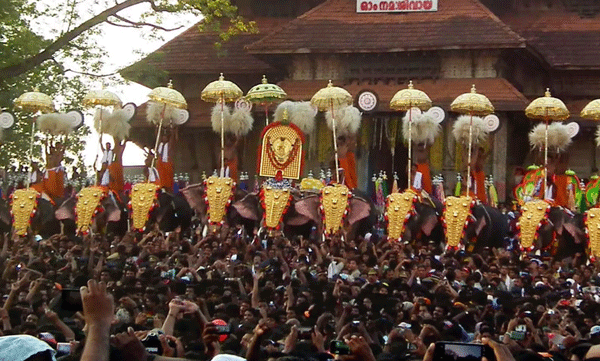‘തൃശൂർ പൂരത്തിനിടെ ആനകളുടെ കണ്ണിലേക്ക് ലേസർ അടിച്ചു’; ഗുരുതര ആരോപണവുമായി പാറമേക്കാവ് ദേവസ്വം