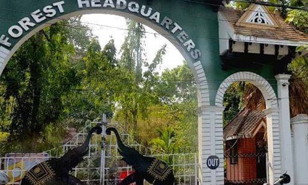 പരാതി ലഭിച്ചിട്ടും സെലിബ്രിറ്റികള്‍ക്കെതിരേ നടപടിയെടുക്കാനാകാതെ വനംവകുപ്പ് ; വന്യമൃഗങ്ങളുടെ ശരീരഭാഗങ്ങള്‍ ധരിക്കുന്നത് വ്യാപകം 