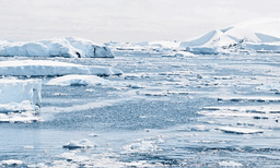 പതിറ്റാണ്ടുകള്‍ക്കൊടുവില്‍ അന്റാര്‍ട്ടിക്കയിലെ മഞ്ഞുപാളികളില്‍ വര്‍ധന: പുതിയ കണ്ടെത്തലുമായി ഗവേഷകര്‍ 
