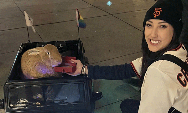 ലക്ഷകണക്കിന് ആരാധകര്‍, എപ്പോഴും സെലിബ്രിറ്റി മീറ്റിംഗുകള്‍, ലോകത്തിലെ ഏറ്റവും പ്രശസ്തനായ മുയല്‍ സാര്‍ ഇവിടെയുണ്ട്
