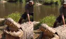 വയസ്സ് 124, മനുഷ്യരെ ആക്രമിക്കുന്നതില്‍ മുന്‍പന്തിയില്‍, ഇന്ന് വിശ്രമ ജീവിതം: വൈറലായി ഒരു മുതല
