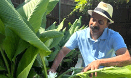 അമേരിക്കയില്‍ അപൂര്‍വ്വമായി മഞ്ഞള്‍ പൂത്തു; അഭിമാനത്തോടെ സണ്ണിയും കുടുംബവും