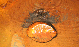 ഒളിഞ്ഞിരുന്നത് രണ്ട് ബില്യണ്‍ വര്‍ഷങ്ങള്‍: ഭൂമിയിലെ ഏറ്റവും പഴക്കം ചെന്ന വെള്ളം കണ്ടെത്തി ഗവേഷകര്‍ 
