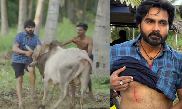 ഷൂട്ടിംഗിനിടെ കാളയുടെ കുത്തേറ്റ് നടന്‍ അശോക് കുമാറിന് പരുക്ക് 
