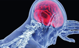 സംസ്ഥാനത്ത് ഒരാൾക്ക് കൂടി അമീബിക് മസ്തിഷ്കജ്വരം, 13കാരന് രോഗം സ്ഥിരീകരിച്ചു