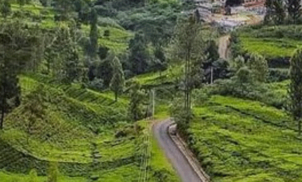 യാത്ര ചെയ്യാന്‍ ഓട്ടോറിക്ഷയോ ടാക്‌സിയോ ഇല്ല, എല്ലാം ലിഫ്റ്റ് സമ്പ്രദായത്തിലൂടെ: വേറിട്ട് നില്‍ക്കുന്ന ആ നഗരം ഇതാണ് 
