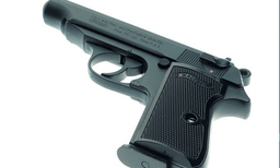 മരുമകന് ചിക്കൻ കഴിക്കണം, തമിഴ്നാട്ടിൽ കോഴിക്ക് വച്ച വെടി ഉന്നംതെറ്റി കൊണ്ട് അയൽവാസി മരിച്ചു