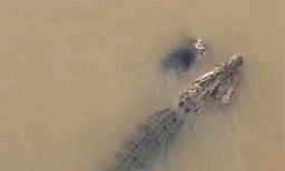 നദിക്കരയില്‍ തുണി അലക്കിക്കൊണ്ടിരുന്ന 57 കാരിയെ ആക്രമിച്ച് മുതല: കൊന്ന ശേഷം ശരീരം വലിച്ചിഴച്ചു, ഞെട്ടിക്കുന്ന ദൃശ്യങ്ങള്‍
