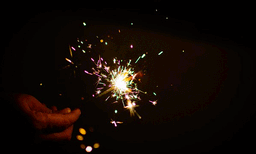 ദീപാവലി ആഘോഷിക്കുന്നതിനിടെ പടക്കം പൊട്ടിച്ചു: സിംഗപ്പൂരില്‍ ഇന്ത്യന്‍ യുവാവ് അറസ്റ്റില്‍
