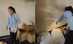 ഭയം അരിച്ചിറങ്ങും! ചാക്കുകള്‍ക്കിടയില്‍ പതുങ്ങിയിരുന്ന് മൂര്‍ഖന്‍, കയ്യോടെ പിടിച്ച് സ്‌നേക്ക് ഗേള്‍, വീഡിയോ 
