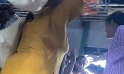 ട്രെയിനില്‍ സീറ്റിനെ ചൊല്ലി തര്‍ക്കം, പിന്നാലെ സ്ത്രീകള്‍ തമ്മില്‍ പൊരിഞ്ഞ അടി: വീഡിയോ വൈറല്‍ 
