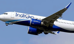 ആകാശത്ത് വിമാനത്തിനുള്ളിൽ ഇന്ത്യാക്കാരൻ 2 കൗമാരക്കാരെ ഫോർക്കുപയോഗിച്ച് കുത്തി; വിമാനം അമേരിക്കയിൽ തിരിച്ചിറക്കി