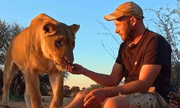 പെണ്‍സിംഹം വേട്ടയാടിയ മൃഗത്തിന്റെ മാംസകഷണം ചുട്ടുതിന്ന് യുവാവ്: ഇത് ഒന്നും രണ്ടുമല്ല 13 വര്‍ഷത്തെ ആത്മബന്ധം
