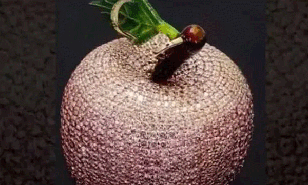 ലോകത്തെ ഏറ്റവും വിലകൂടിയ ആപ്പിള്‍ ദാ ഇവിടെയുണ്ട്! കോടികള്‍ മുടക്കിയാലും വാങ്ങാന്‍ കഴിയില്ല 
