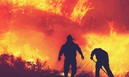 എഐ ചിത്രങ്ങള്‍  പ്രകൃതി ദുരന്തങ്ങളുടെ ഗൗരവം കുറയ്ക്കുന്നു! രക്ഷാപ്രവര്‍ത്തനം വൈകുമോ എന്നതില്‍ ആശങ്ക
