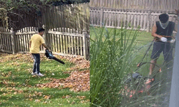 കാണാന്‍ ഭംഗിയുണ്ട്, പക്ഷേ..! അമേരിക്കയില്‍ വീട് വാങ്ങിയാല്‍ ഇതാണ് അവസ്ഥയെന്ന് ഇന്ത്യന്‍ യുവതി 
