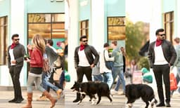 ‘ഫോട്ടോയ്ക്ക് പോസ് ചെയ്താല്‍ പിന്നെ ചുറ്റുമുള്ളതൊന്നും കാണാന്‍ കഴിയില്ല...’ സ്റ്റൈലിഷ് ചിത്രങ്ങൾ പങ്കിട്ട് മനോജ് കെ. ജയന്‍; മുന്നിൽ ഫോട്ടോബോംബായി നായയും 