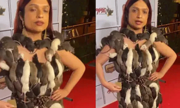 വസ്ത്രം നിറയെ ജീവനുള്ള എലികള്‍, റെഡ്കാര്‍പറ്റില്‍ തിളങ്ങി യുവതി: എഐ നിര്‍മ്മിതമെന്ന് നെറ്റീസണ്‍സ് 
