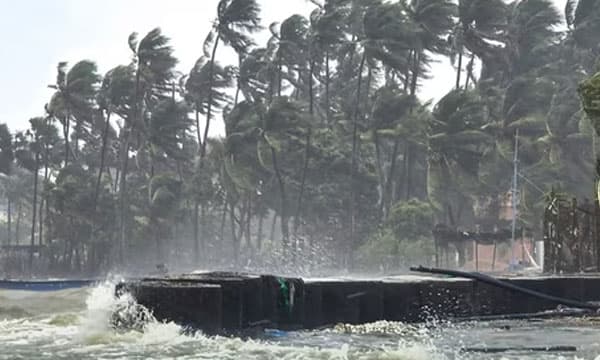 ദിത്വാ ചുഴലിക്കാറ്റ് : ശ്രീലങ്കയില്‍ മരണം 123 ആയി; ഇന്ത്യന്‍ തീരത്തേക്ക് അടുക്കുന്നു