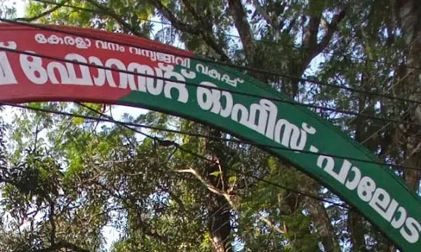 കടുവകളുടെ എണ്ണം എടുക്കാന്‍ പോയി കുടുങ്ങി ; കാണാതായ വനംവകുപ്പ് ജീവനക്കാരെ കണ്ടെത്തി