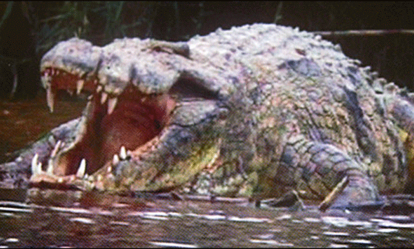 20 അടി നീളം, 100 കിലോ ഭാരം, കൊന്നുതിന്നത് 300 ആളുകളെ! ഇവനാണ് ബുറുണ്ടിയിലെ ജലഭീകരന്‍ 
