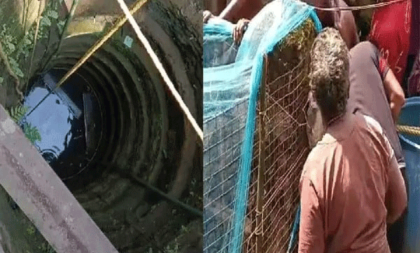 
കളിക്കുന്നതിനിടെ അഞ്ച് വയസുകാരൻ കാൽ തെന്നി കിണറ്റിൽ വീണു; കയറിൽ തൂങ്ങിക്കിടന്ന് അത്ഭുത രക്ഷ