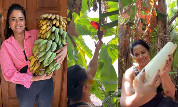 കീടനാശിനികള്‍ ഉപയോഗിക്കാതെ വാഴക്കുല സ്വഭാവികമായി പഴുക്കാന്‍ എത്ര ദിവസമെടുക്കും ? വീഡിയോ പങ്കുവച്ച് സമീറ റെഡ്ഡി; അറിവു പകരും വീഡിയോയെന്ന് കാഴ്ച്ചക്കാര്‍