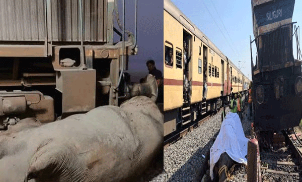 അസമിൽ ട്രെയിൻ ആനക്കൂട്ടത്തിലേക്ക് ഇടിച്ച് കയറി ;  ഏഴ് ആനകൾ ചരിഞ്ഞു , അഞ്ച് കോച്ചുകള്‍ പാളം തെറ്റി
