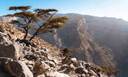 ഒമാനില്‍ അതിശൈത്യം, താപനില പൂജ്യം ഡിഗ്രിക്കും താഴെയെത്തി