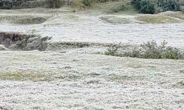 പുല്‍മേടുകളെല്ലാം വെളുത്ത നിറമായി ; മഞ്ഞുപെയ്ത് മൂന്നാര്‍, താപനില പൂജ്യത്തില്‍  