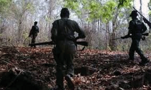 വൻ മാവോയിസ്റ്റ് വേട്ട: രണ്ടിടങ്ങളിലായി 14 മാവോയിസ്റ്റുകളെ വധിച്ച് സുരക്ഷാസേന