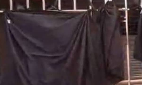 ക്രൈസ്തവ സഭകളും ക്രിസ്ത്യാനികളും ശക്തമായി എതിര്‍ത്തു ;  കൊച്ചി ബിനാലെയില്‍ നിന്ന് വിവാദ പെയിന്റിംഗ് നീക്കി