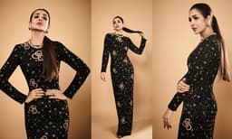 ബ്ലാക്ക് ആൻഡ് ഗോൾഡൻ മൊസൈക് ബോഡിക്കോൺ ഔട്ട്ഫിറ്റിൽ തിളങ്ങി മലൈക അറോറ; സീറോ സൈസിൽ സ്റ്റൈലിഷ് ലുക്കിൽ താരം