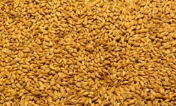 നാരുകള്‍ അടങ്ങിയ ഭക്ഷണം കഴിച്ചാലുള്ള ഗുണങ്ങള്‍ അതിശയിപ്പിയ്ക്കുന്നത്
