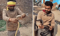 ഭയം അരിച്ചിറങ്ങും! കരിമൂര്‍ഖനെ കയ്യിലെടുത്തും സംസാരിച്ചും യുവാവ്, ഞെട്ടിക്കുന്ന ദൃശ്യങ്ങള്‍ പുറത്ത് 
