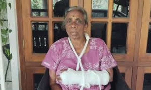  സ്വകാര്യ ബസിനുള്ളിൽ വീണ് കയ്യൊടിഞ്ഞ 71കാരിയെ ജീവനക്കാര്‍ ആശുപത്രിക്ക് സമീപം ഇറക്കിവിട്ടതായി പരാതി