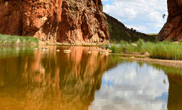 ഭൂമിയിലെ വിസ്മയമായി 'ഫിന്‍കെ': ഇതാണ് ലോകത്തിലെ ഏറ്റവും പ്രായം ചെന്ന നദി
