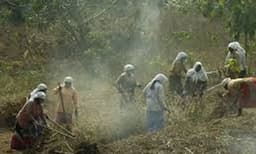 തൊഴിലുറപ്പ് പദ്ധതിക്ക് 1000 കോടി രൂപ ; മണ്‍പാത്ര നിര്‍മ്മാണമേഖലയ്ക്ക് ഒരു കോടി രൂപ