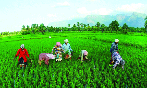 കാര്‍ഷിക മത്സ്യബന്ധന ക്ഷീര മേഖലയ്ക്കും മൃഗസംരക്ഷണത്തിനും കരുതല്‍ ; കാര്‍ഷിക മേഖലയ്ക്ക് 2024 കോടി 