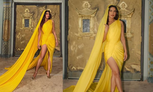 Priyanka Chopra Jonas (Image Source: Instagram)