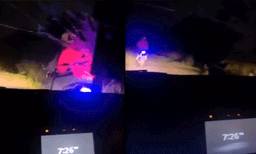 സ്ത്രീകള്‍ സഞ്ചരിച്ച കാറിനെ നിര്‍ത്താതെ പിന്തുടര്‍ന്നു: കൊള്ളസംഘത്തിന് നേരെ വാളെടുത്ത് വീശി യുവതി, കയ്യടിച്ച് സോഷ്യല്‍ മീഡിയ
