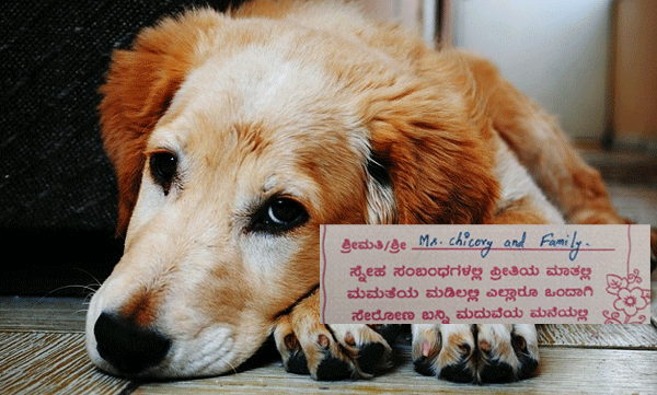 'മൈ ഡിയര്‍ ചികോരി ആന്‍ ഫാമിലി' : നായ്ക്കുട്ടിയ്ക്ക് മകളുടെ വിവാഹ ക്ഷണകത്തയച്ച് ഡോക്ടര്‍ 
