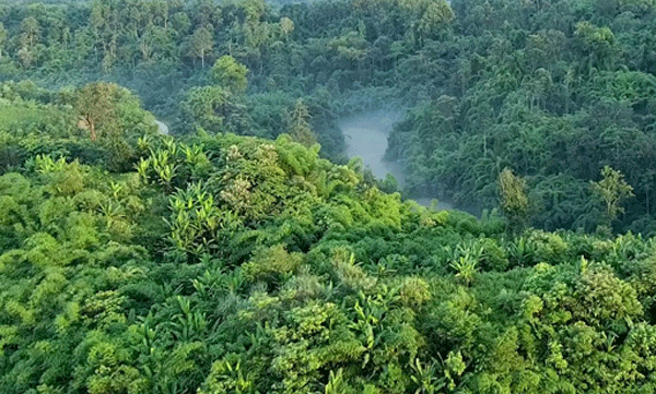 പ്രായമോ സമയയോ വര്‍ഷമോ ഇല്ല: ആമസോണ്‍ കാടുകളിലെ ഗോത്ര വിഭാഗം ജീവിക്കുന്നതിങ്ങനെ 
