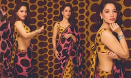   വസ്ത്രമല്ല, ഇതൊരു വികാരമാണ്; സാരിയില്‍ സുന്ദരിയായി തമന്ന 
