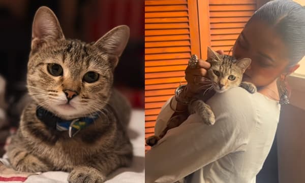 ഒരാഴ്ചയായി അവള്‍ എന്നെ വിട്ടുപോയിട്ട്, അവളെ മിസ് ചെയ്യുന്നു, അവള്‍ക്കായി കാത്തിരിക്കുകയാണ് ; വൈകാരിക കുറിപ്പുമായി പ്രാര്‍ത്ഥന ഇന്ദ്രജിത്ത് 

